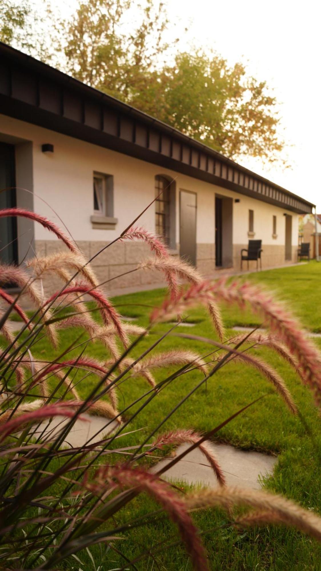 Ferienwohnung Remise Brasch - Zwischen Bahnhof Und Elbe Wittenberge Exterior foto